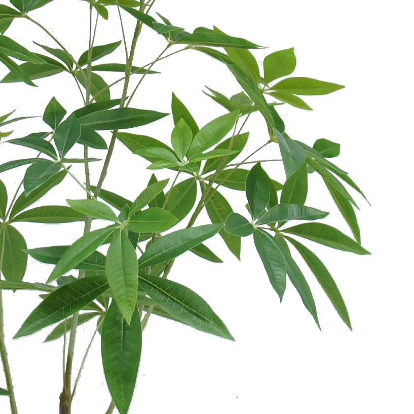 120cm Artificial Money Plant Pachira Realistic Faux Tree