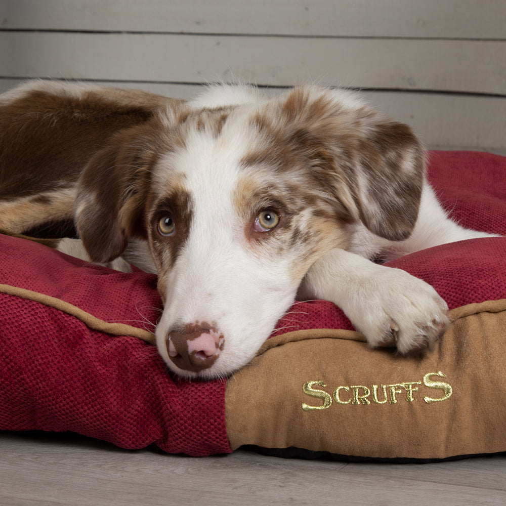 Highland Dog Mattress (in Blue, Red or Grey) by Scruffs