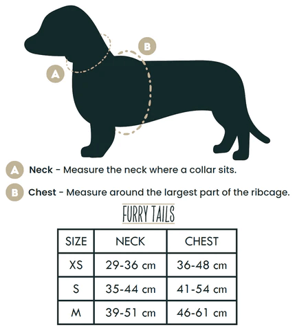 Dog Harness (Full Set) (Coco) – Dog Harness, Dog Collar, Dog Lead, Dog Poo Holder, Dog Bow Tie – by Furry Tails