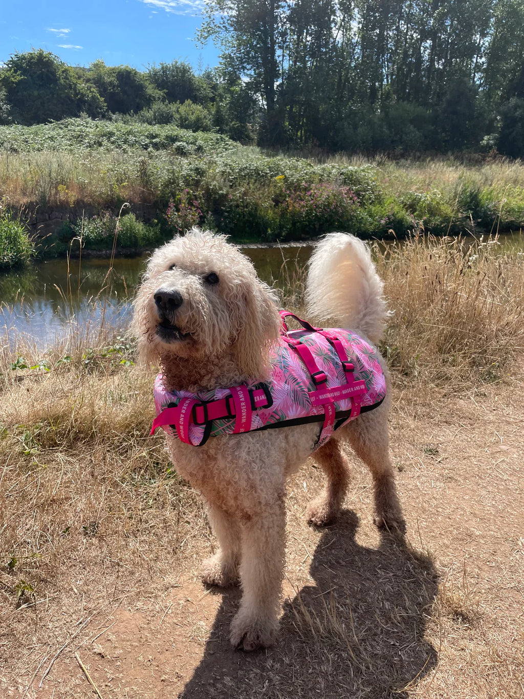 Dollys Paradise Dog Float by Wander and Woof