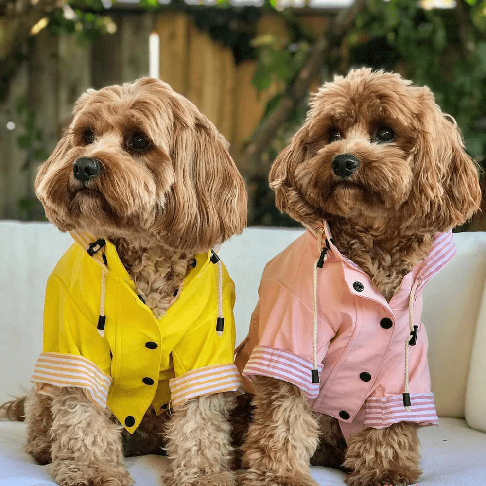 Sloane Waterproof Dog Rain Jacket (Lemon) – by The Paw Co.