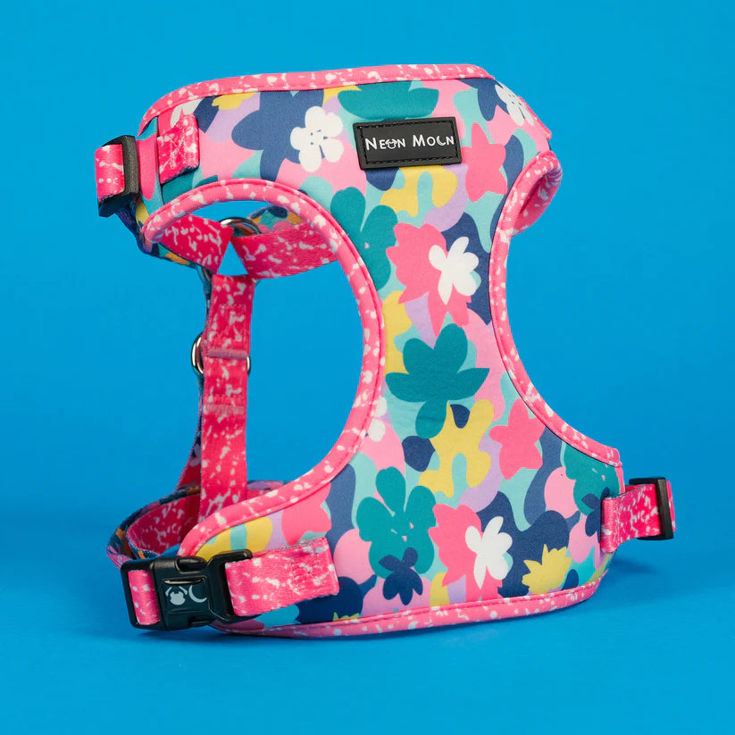 The Luna Mesh Dog Harness - by Neon Moon Pet Boutique