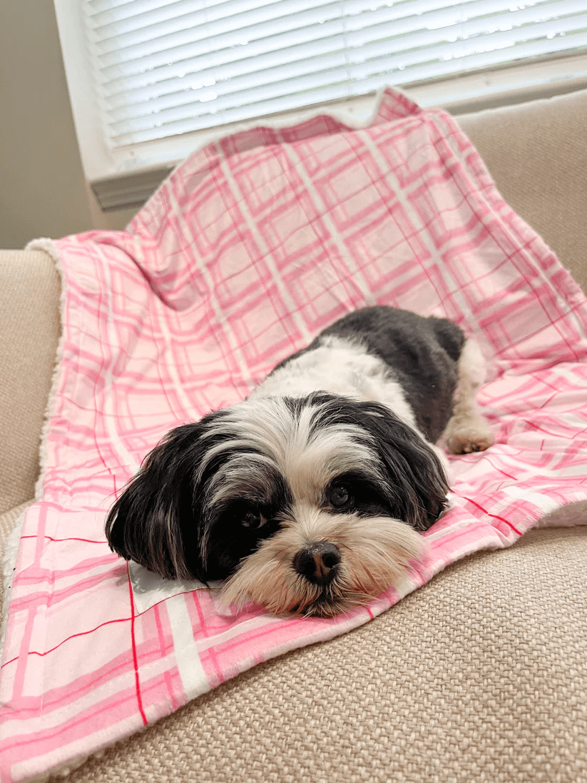 Oxford "Blush" Dog Blanket – by Flossie & Floof
