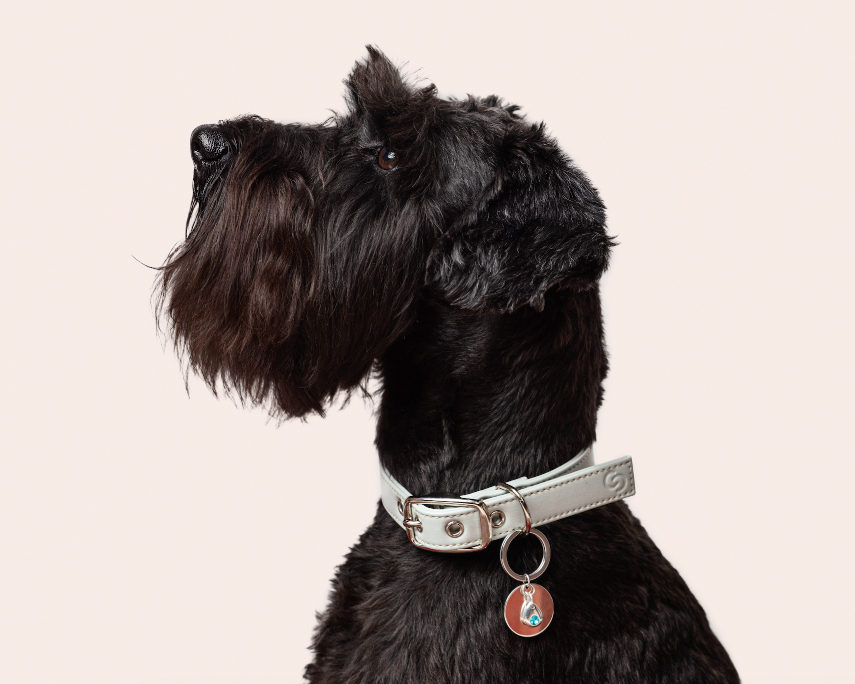 Sterling silver birthstone collar charm