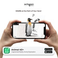 Animal 4D+ Augmented Reality Cards