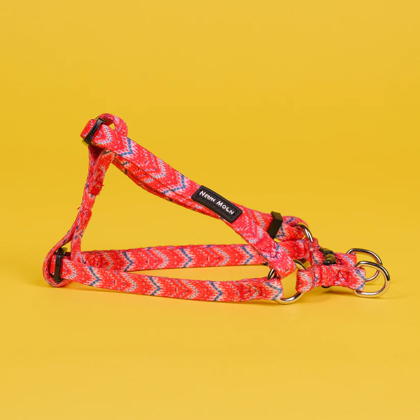 The Tod Step-In Dog Harness - by Neon Moon Pet Boutique