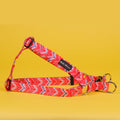 The Tod Step-In Dog Harness - by Neon Moon Pet Boutique