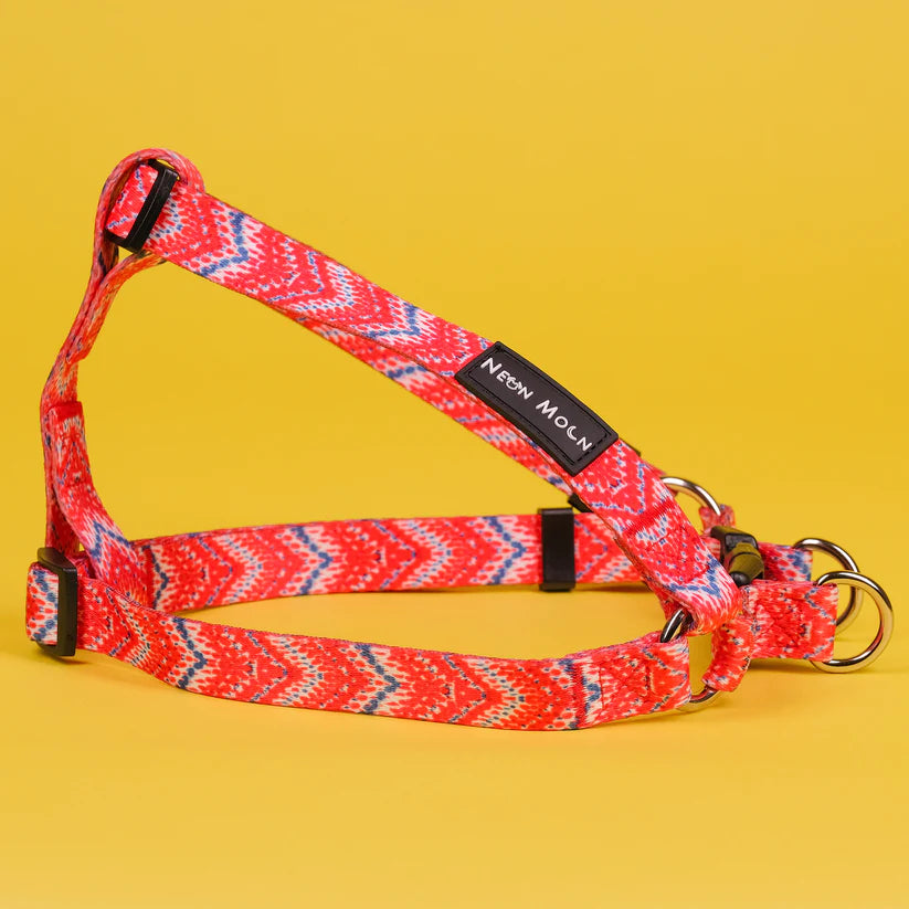 The Tod Step-In Dog Harness - by Neon Moon Pet Boutique