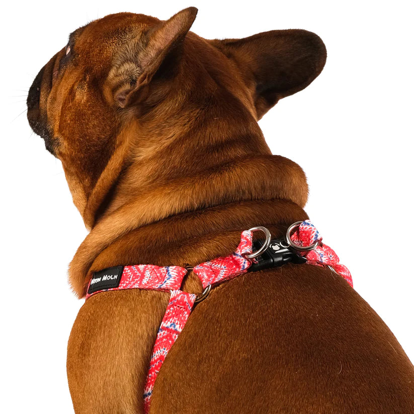 The Tod Step-In Dog Harness - by Neon Moon Pet Boutique