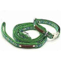 Finnigan's Enchanted Pup Dog Collar Set