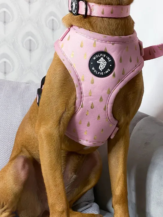 ACCALIA Adjustable Harness by Wolfie + Me