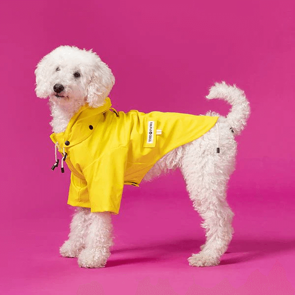 Sloane Waterproof Dog Rain Jacket (Lemon) – by The Paw Co.