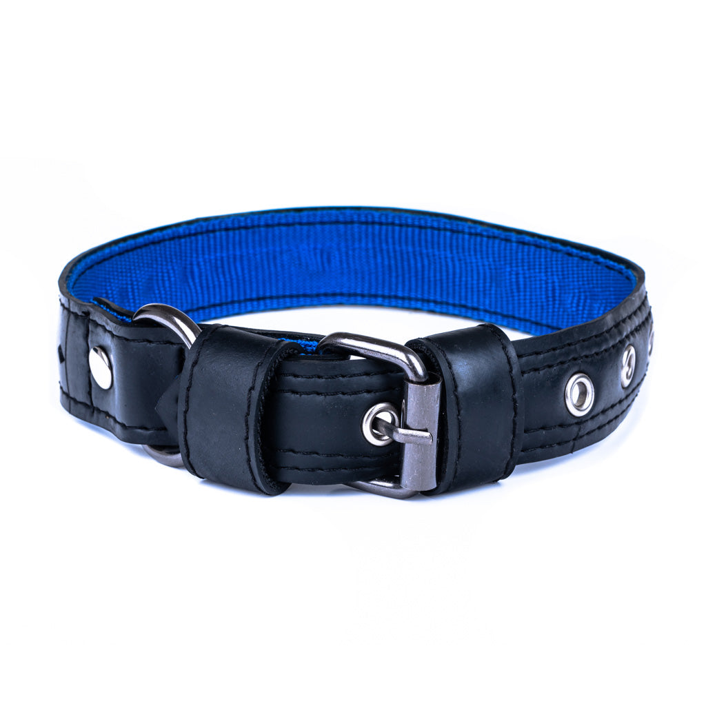 Eco Friendly Recycled Inner Tube Vegan Dog Collar