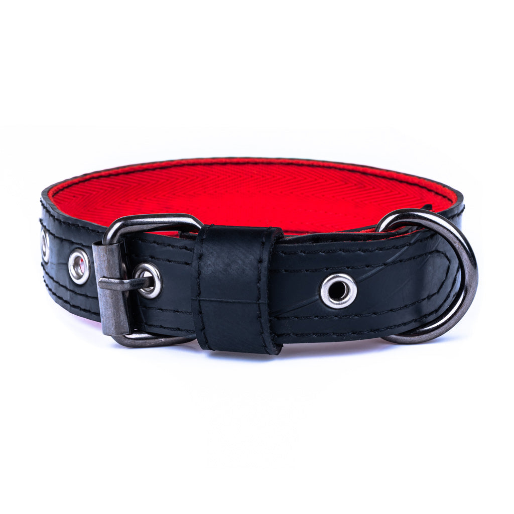Eco Friendly Recycled Inner Tube Vegan Dog Collar